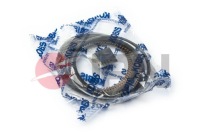 фото thumb №2, Jpn 40m0007.000-jpn набор колец поршня