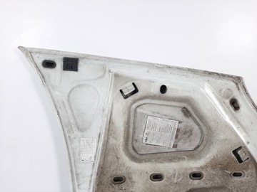 фото thumb №11, Renault kangoo експрес рестайлінг 05r капот код 0389