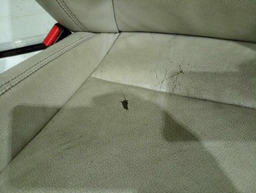 фото thumb №10, Bmw f25 x3 сиденья sport кожа салон диван