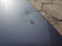 фото thumb №5, Двері праве правий задня задні bmw x3 e83 bluewater