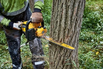 DMCCS574X1 ЦЕПНАЯ ПИЛА DEWALT 45 СМ 54 В XR FLEXVOLT 1x9 Ач КОРПУС