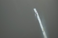 фото thumb №11, Капот кришка двигуна audi a3 8p рестайлінг 08 - ly9c