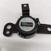 фото thumb №6, Kia ev6 2023 левая сторона динамик дверь задних