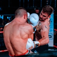 БОКСЕРСКИЕ ПЕРЧАТКИ BESTSELLER УНИВЕРСАЛЬНЫЕ ДЛЯ БОКСА И КИКБОКСИНГА BUSHIDO 12 oz