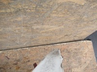 фото thumb №9, Капот перед peugeot bipper