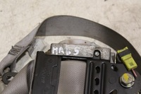 фото thumb №7, Pas безопасности правый nissan cabstar maxity tk-ah2-eg415