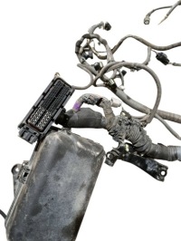 Жгут двигателя перед toyota sequoia xk60 821110c670 Цена, фото thumb