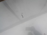 Капот крышка двигателя opel vectra c рестайлинг  z163 05-08 с Разборки, фото thumb