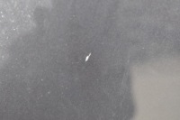 Porsche boxster 987 09-11 капот крышка отсек двигателя Киев, фото thumb