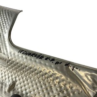 фото thumb №7, Dodge charger 2019 левая сторона защита