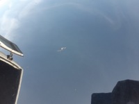 фото thumb №7, Audi a5 8t капот крышка двигателя перед lz9y 08-11r передний рестайлинг