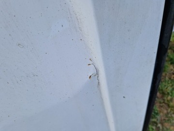 фото thumb №11, Дверь распашные левый зад iveco daily iv 06-