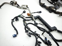 фото thumb №5, Opel antara 2012 джгут двигуна 95489694