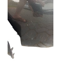 фото thumb №9, Бампер перед ford transit custom