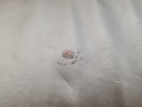 Mini cooper r57 сиденья заднее сиденье обшивки кожа Недорого, фото thumb