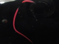 фото thumb №10, Ds3 crossback бампер задний ktvd 6pdc