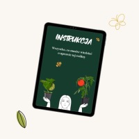 РАССАДА Тайский базилик АРОМАТНЫЙ экзотический Фабрика рассады