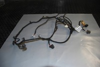 фото thumb №10, Электропроводка дверь задняя audi a8 d3 long 4e4971693d