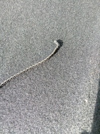 фото thumb №6, Полиця задня багажника mazda 6 hb oryg.