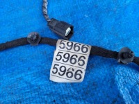 Opel-części | mokka жгут электропроводка pdc бампера перед 95245966 с Разборки, фото thumb