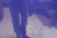 фото thumb №13, Капот крышка двигателя bmw 5 v e60 e61 2004r-