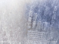 Бампер перед комплектный  противотуманные фары омыватель решётка altea xl рестайлинг  09-15 в Украине, фото thumb