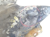 фото thumb №8, Крила лівий перед передній audi a3 8v 5d sedan lx7r