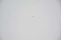 фото thumb №7, Капот кришка двигуна audi a6 c6