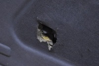 фото thumb №14, Капот крышка двигателя чёрная hyundai tucson 1 i 04-10