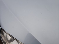 фото thumb №6, Peugeot 407 капот крышка двигателя eylc