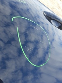 фото thumb №6, Audi a3 8v дверь левая задние левый задняя ly9b