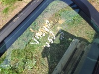 фото thumb №6, Volvo v50 дверь правый задняя задние