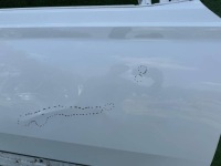 фото thumb №6, Дверь skoda superb iii правый перед 3v0831312