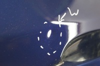 фото thumb №7, Двері лівий задня bmw x3 e83