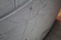 фото thumb №11, Бампер перед передній чорний 6c11-17e888-a ford transit 5 v 00-06