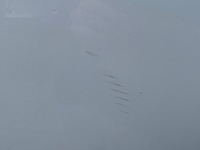 фото thumb №7, Двері лівий задня seat exeo sedan 08-14 lb9a