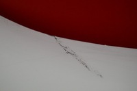 фото thumb №9, Крыло правые перед переднее белый ford transit connect mk1 1 i 02-09