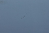 фото thumb №8, Bmw 1 f20 двері правий перед праве передні