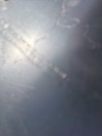 Плита накладка під  бампер перед передній tesla 3 1084174-00-d Недорого, фото thumb