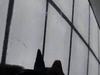 фото thumb №6, Nissan leaf ii ze1 2022 обивка крышки багажника gg52005970