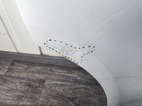 фото thumb №14, Дверь tesla y задние правые