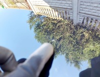 фото thumb №9, Mercedes eqc n293 w293 23r. капот крышка двигателя цвет 197 a2938870100