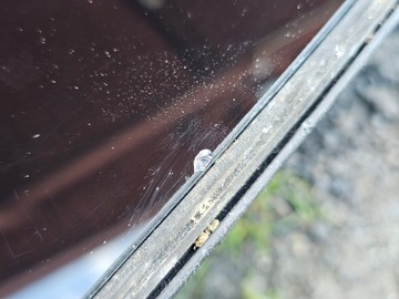 фото thumb №10, Skoda octavia ii скло передня перед лобове 1z0845011