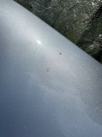 Audi a4 b8 8k 07-11 капот крышка двигателя оригинал oem ly7g в Украине, фото thumb