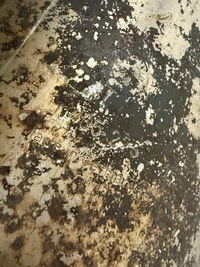 фото thumb №6, Bmw z3 m оригінальний номер пара tłumików випускних 1404318 i 1404317 набір 4 наконечників