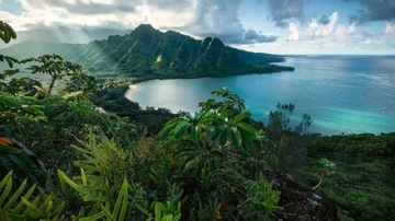 Пазл RAVENSBURGER Hawaiian Viewpoint 16106
