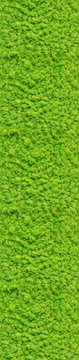 ОБОИ MOSS GREEN WALL PLANT MOTIF 5105al