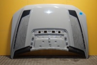 Купить Ford f-150 raptor 2021 - капот перед крышка двигателя америка, фото thumb