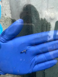 фото thumb №6, 64 iveco daily 14-19 скло лобове передня камера