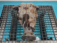 фото thumb №9, Мост дифференциал задний задняя mercedes cls ii c218 10-18 a2043510408 4.7 v8 428km